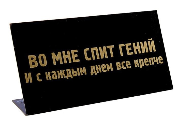 Табличка Во мне спит гений 472276 КНР фото